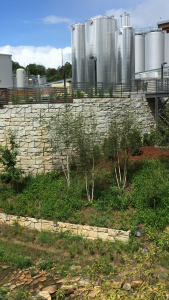 Verti-block retaining wall at brewery